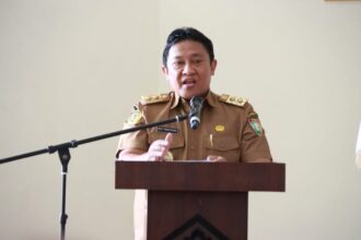 wagub kalteng, edy pratowo