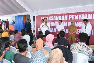 TINJAU : Presiden RI Joko Widodo didampingi oleh Gubernur Kalteng, Sugianto Sabran meninjau Gudang Bulog Buntok Kabupaten Barito Selatan, Kamis (27/6/2024). (foto:mmc)