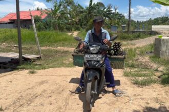 Warga, Ispatoni