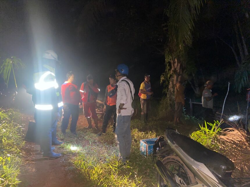 CEK KONDISI : PLN Dan BPBD Kotim saat mengecek kondisi tower transmisi saat dikepung api. (Foto: PLN)
