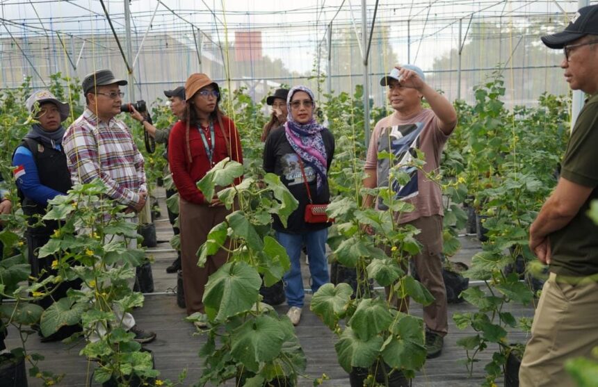 TINJAU WISATA : Gubernur Kalteng, Sugianto Sabran bersama Kepala Perangkat Daerah meninjau Smart Green House KM 38 Palangka Raya Palangka Raya, Sabtu (4/1/2025). (foto:mmc)