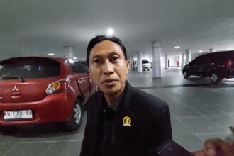 Anggota DPRD Kota Palangka Raya, Pitria Nurjaya (Foto : Ist)