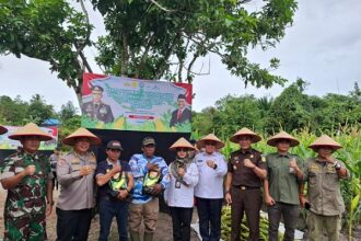 PANEN RAYA : Kepala Bidang Perbenihan Budidaya Jayan Wahyudi, mewakili Kepala Dinas Perkebunan Provinsi Kalimantan Tengah menghadiri Panen Raya Jagung Serentak Tahap I dan Tanam Jagung Tahap II, yang diselenggarakan oleh Polda Kalteng, yang dipusatkan di Kelurahan Banturung Kecamatan Bukit Batu, Kota Palangka Raya, Rabu (26/2/2025). (foto:mmc)