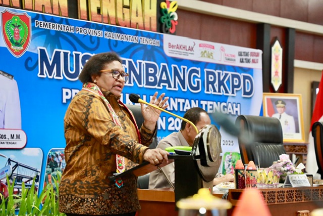 Wakil Menteri Dalam Negeri (Wamendagri), Ribka Haluk