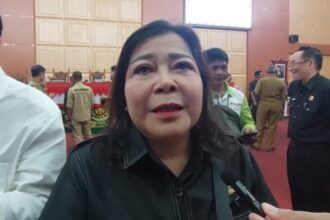 Wakil Ketua II DPRD Kota Palangka Raya, Nenie Adriati Lambung (Foto : Ist)