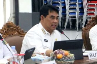 Bupati Barito Utara, Shalahuddin (Foto : Ist)