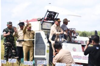 Gubernur Kalteng, Agustuar Sabran, Wagub Edy Pratowo didampingi Bupati Kapuas, Muhammad Wiyatno panen raya padi di Desa Terusan Makmur, Kecamatan Bataguh (Foto : Ist)