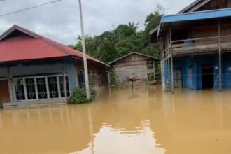 Kondisi rumah warga di Desa Bajuh, Kecamatan Kapuas Tengah, Kabupaten Kapuas yang terendam banjir (Foto : Ist)