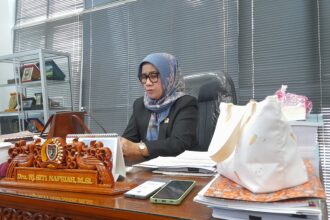 Ketua Komisi II DPRD Kalteng, Siti Nafsiah (Foto : Nopri)