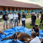 IDUL ADHA. Ketua DPW PSI Kalteng, Sipet Hermanto didampingi jajaran sekretaris. dan Ketua OKK DPW PSI Kalteng, Rano Rahman, menghadiri acara penyembelihan hewan kurban, sapi Limosin, dalam rangka Idul Adha 1447 H di Komplek Assalam Palangka Raya, Kamis (28/5/2026) pagi. (Foto: IST)