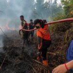 Petugas melakukan pemadaman karhutla di wilayah Barito Selatan.