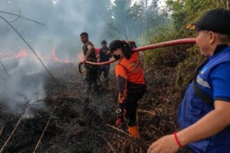 Petugas melakukan pemadaman karhutla di wilayah Barito Selatan.