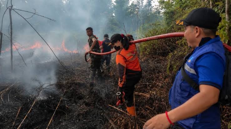 Petugas melakukan pemadaman karhutla di wilayah Barito Selatan.